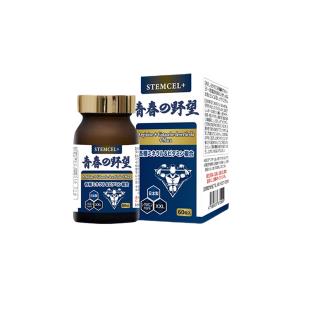 stemcel+青春的野望肉苁蓉玛咖片 日本进口复合玛咖片 60粒/瓶