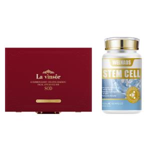 【+999多一件】温莎之谜（La vinsor）SOD-500·升级版【两件套】