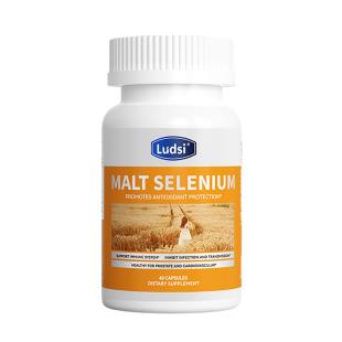 露缔斯（LUDSI）西千金硒片 60粒/瓶