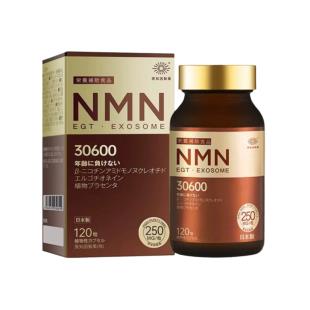 原知因新金纯日本原装进口nad前体补充剂mn保健品官方正品 120粒